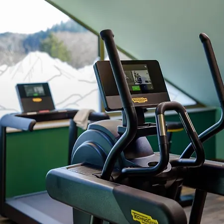 Ibis Styles Hotel Bad Reichenhall