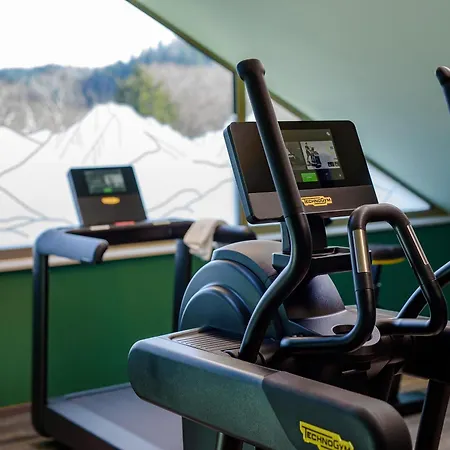 Ibis Styles 3* Bad Reichenhall